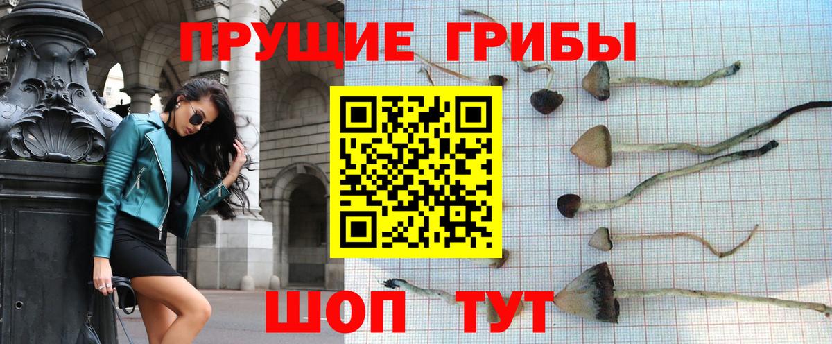 Галлюциногенные грибы Cubensis Унеча
